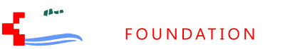 DHF Tablet Logo